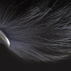 Plug anal queue de fourrure de renard noir argenté