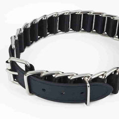 Laisse et collier de chaîne réglable