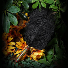 Tickler en bois coloré