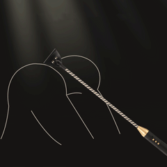 Culture d'entraînement électrique