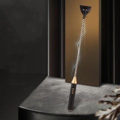 Culture d'entraînement électrique