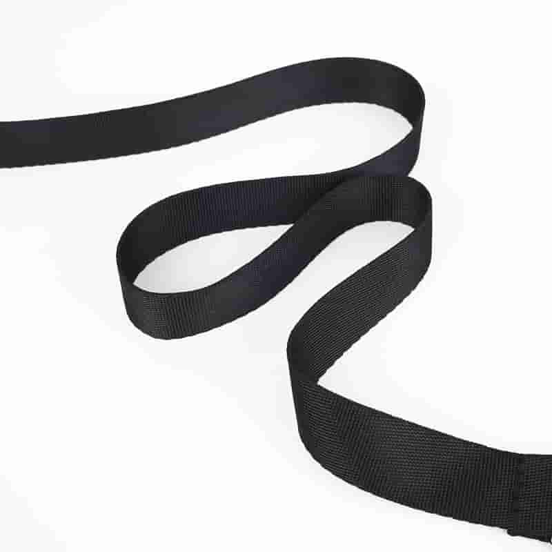 Leash & Adjustable Chain Collar