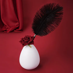 Cosquilleo de plumas