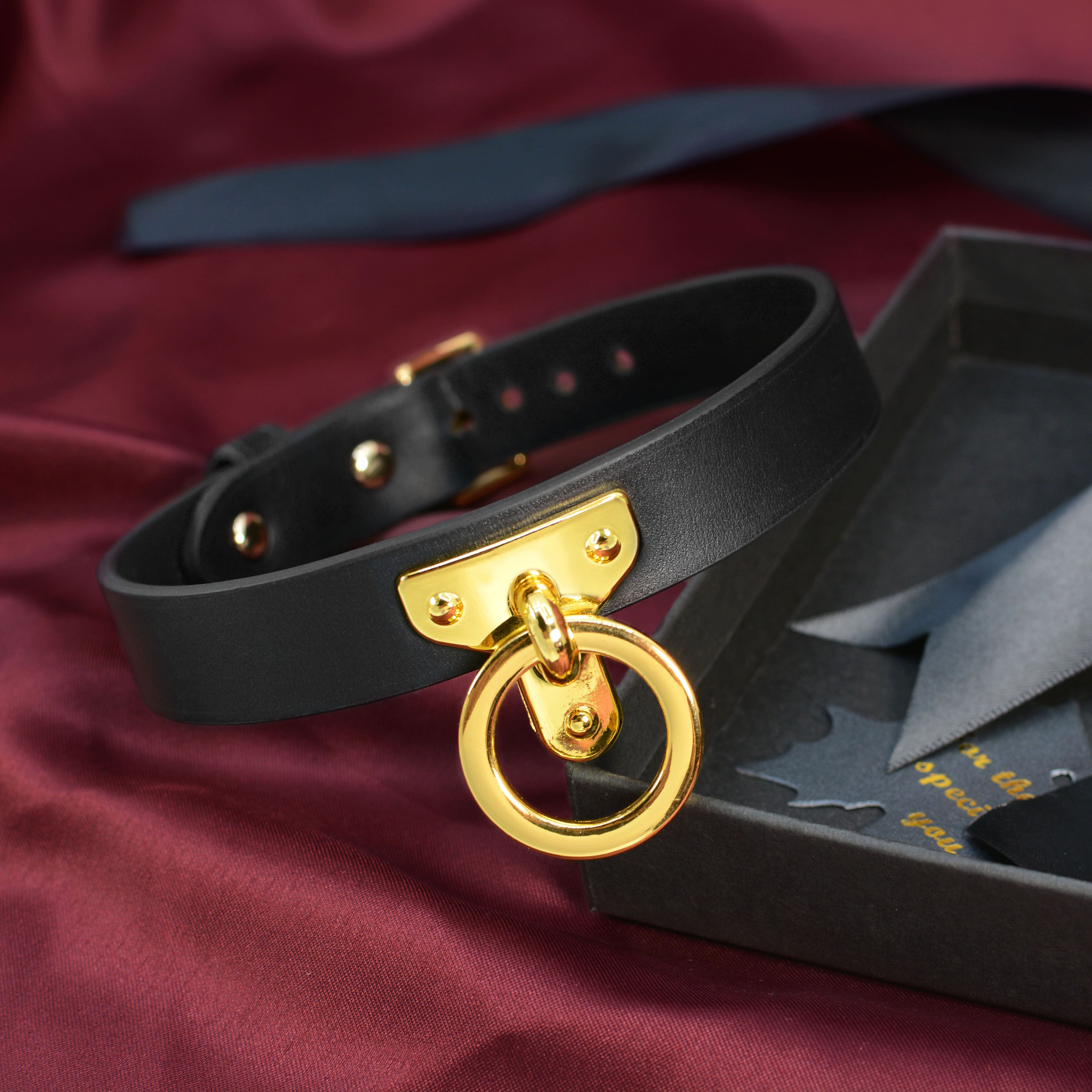 Golden Chain Leash Leather Collar