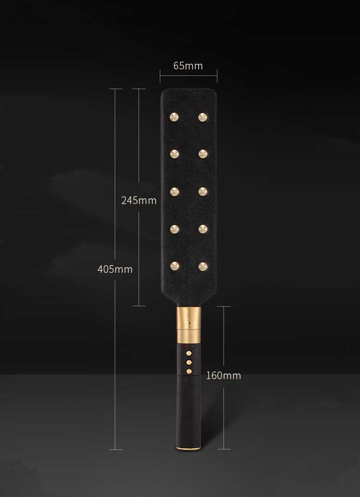 Electric Training Paddle