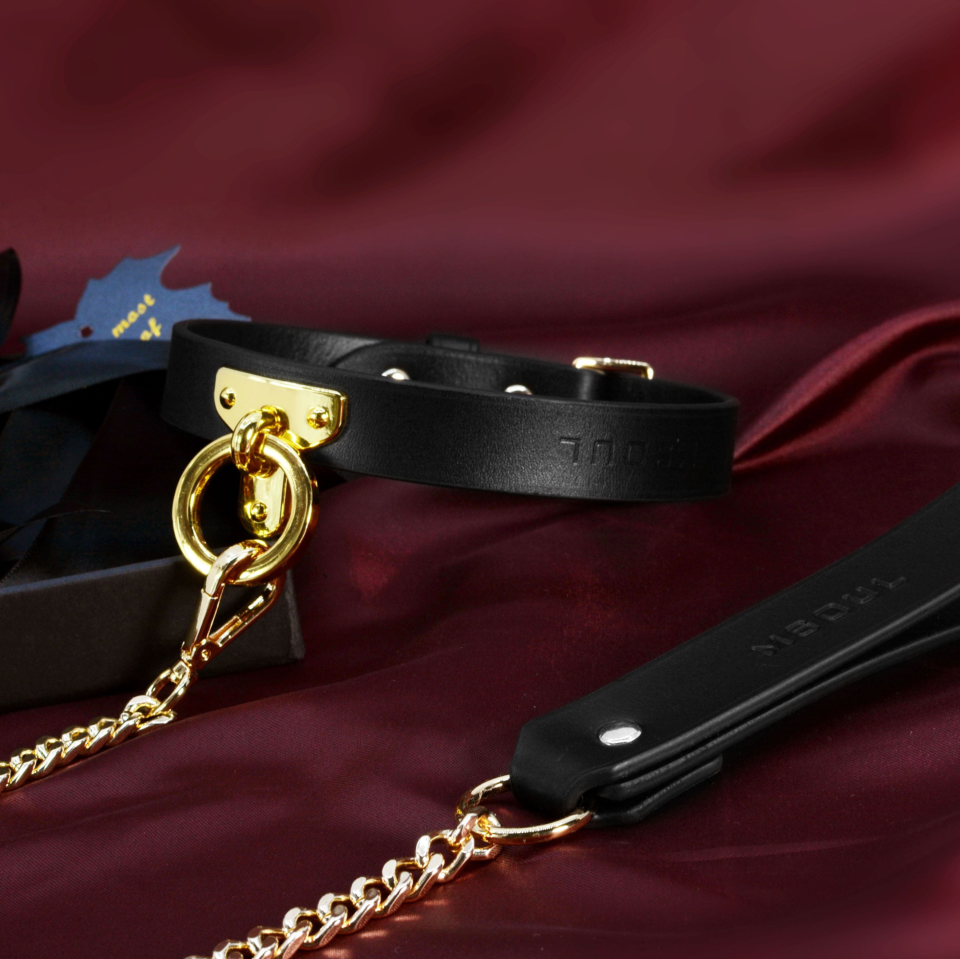 Golden Chain Leash Leather Collar