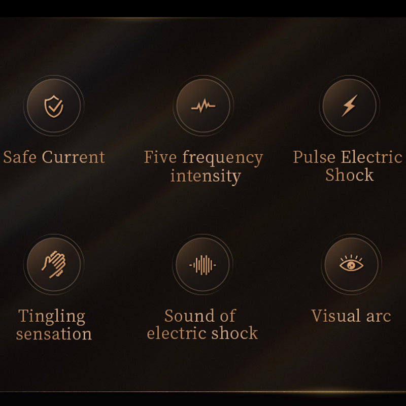 Electric Flogger