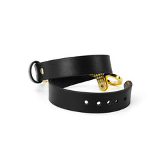 Golden Chain Leash Leather Collar