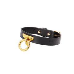 Golden Chain Leash Leather Collar