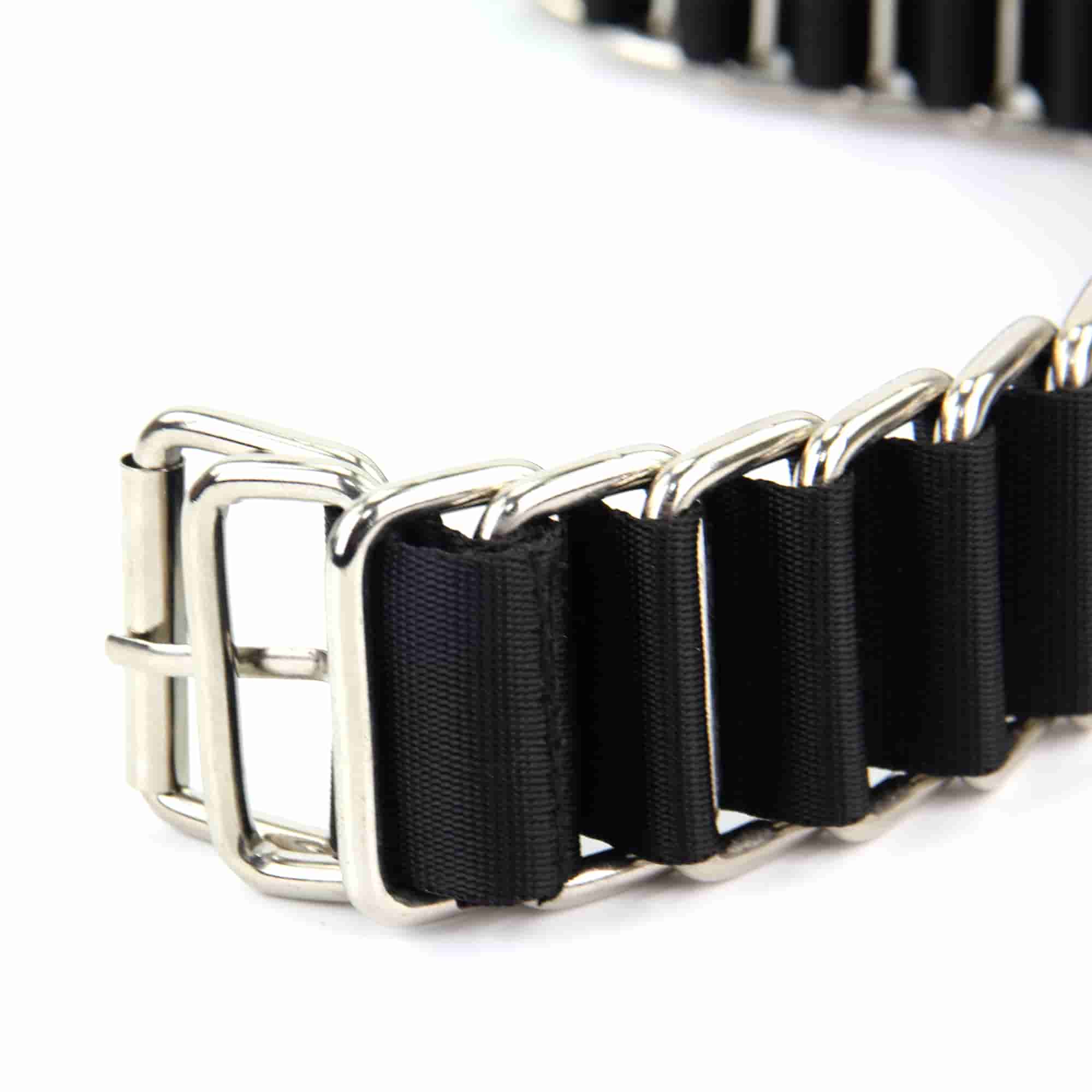 Leash & Adjustable Chain Collar