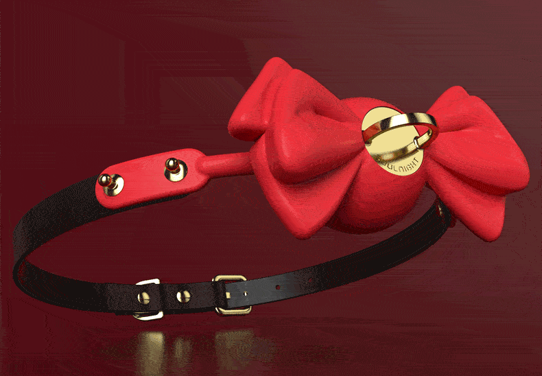 Silicone Bow Shaped Lock Gag