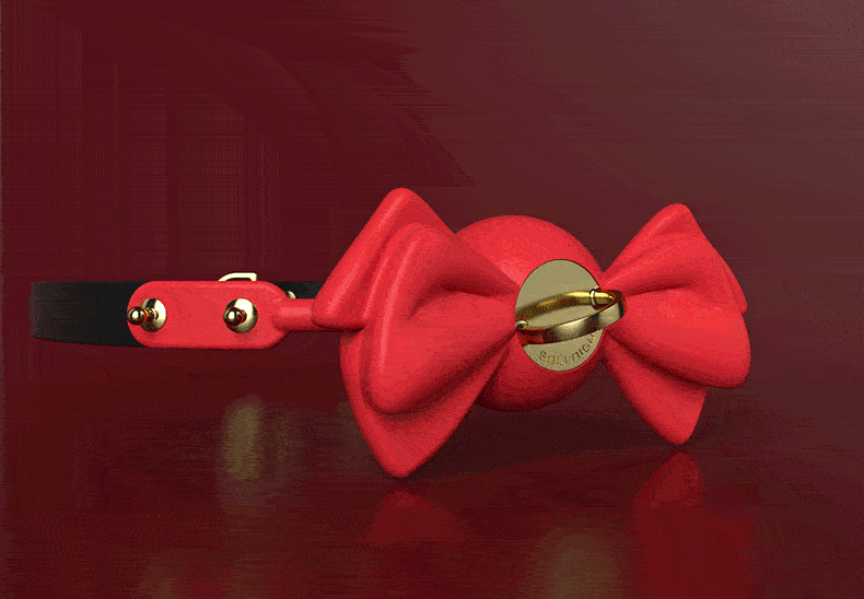 Silicone Bow Shaped Lock Gag
