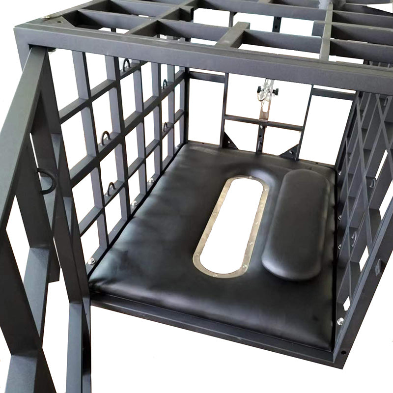 Multifunctional Restraint Cage