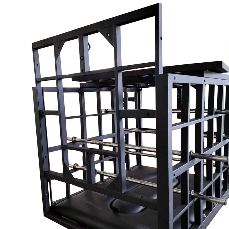 Multifunctional Restraint Cage
