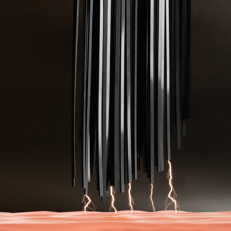 Electric Flogger