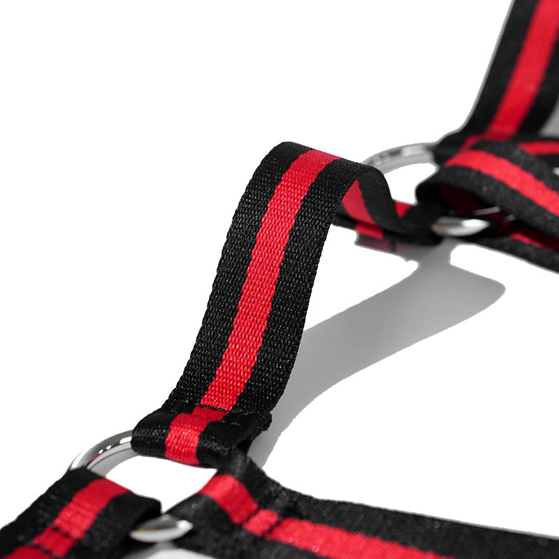 Reverse Handcuff and Ankle Cuff Bondage Set