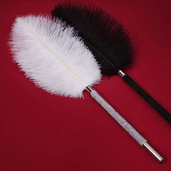 Cosquilleo de plumas