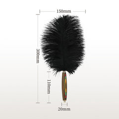 Colored Wooden Tickler
