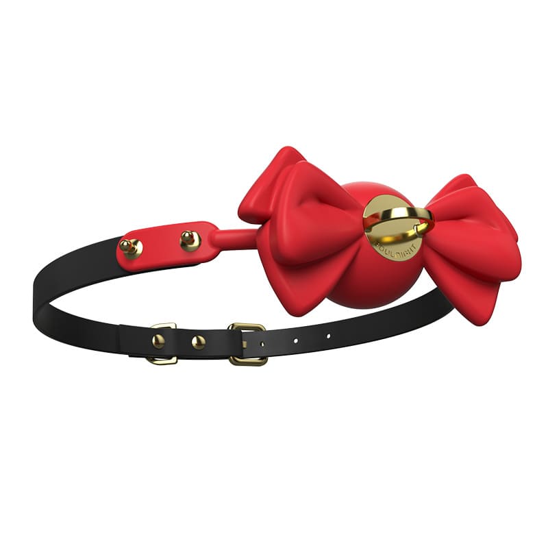 Silicone Bow Shaped Lock Gag