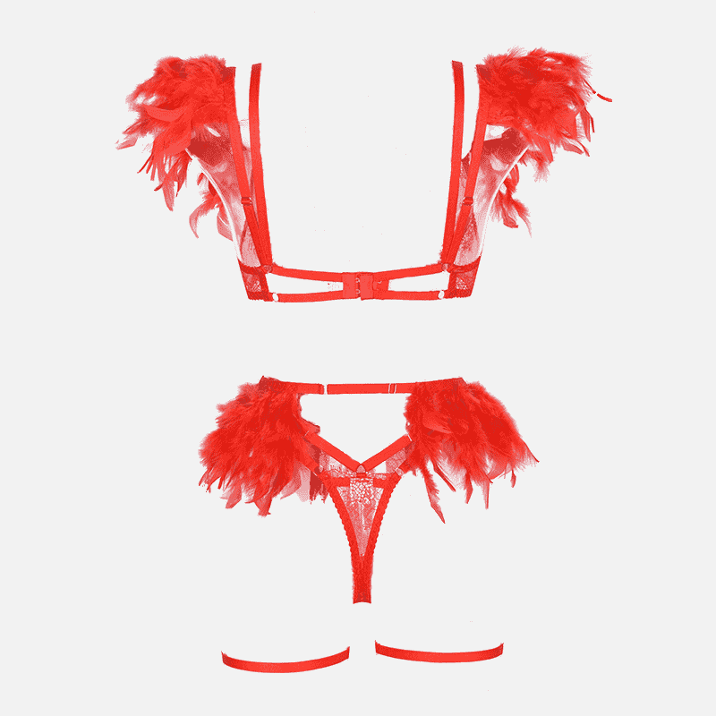Ensemble de lingerie en plumes de dentelle avec jarretière