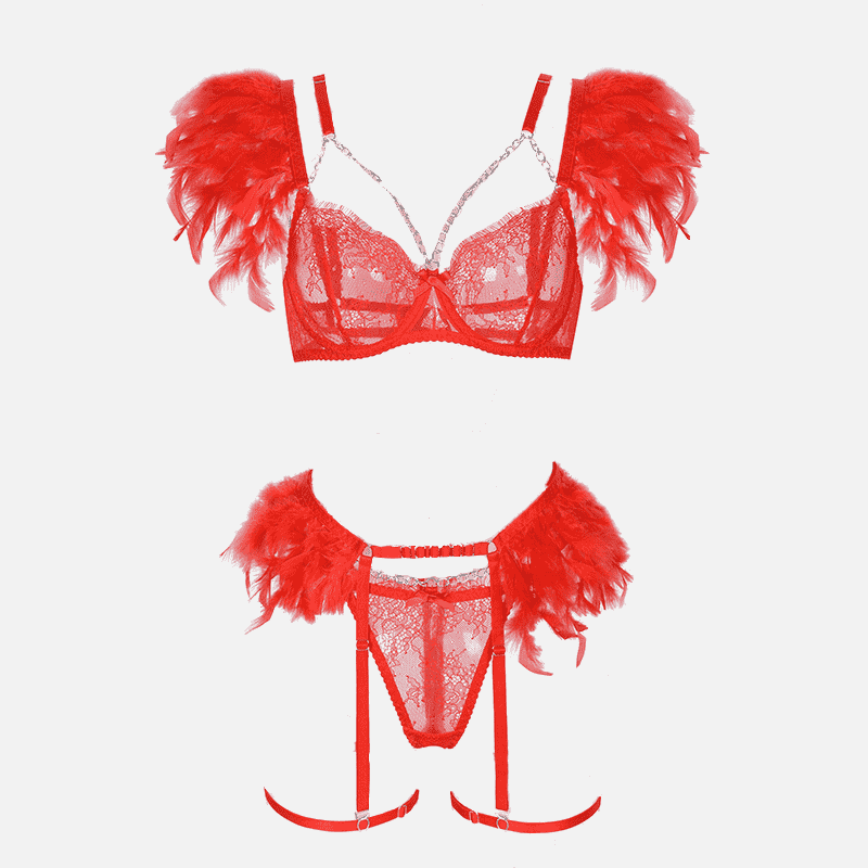 Ensemble de lingerie en plumes de dentelle avec jarretière