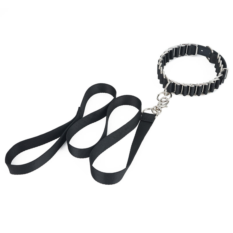 Leash & Adjustable Chain Collar